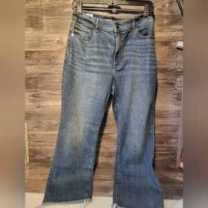 Express Repreve  Cropped Jeans Size 8